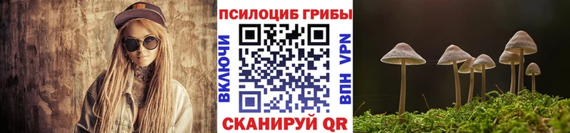 Псилоцибиновые грибы Psilocybe Вятские Поляны